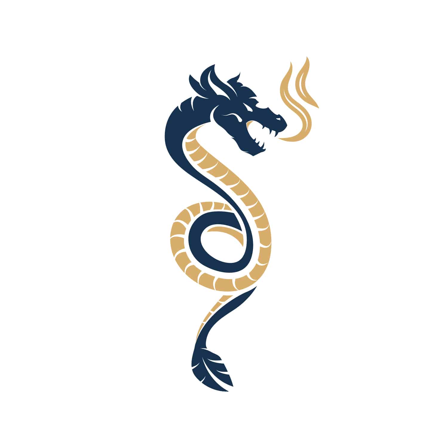 Blue Orange Dragon Logo